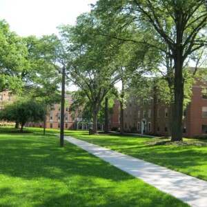 College campus with sidewalk in the middle of lawn and sparse trees. 