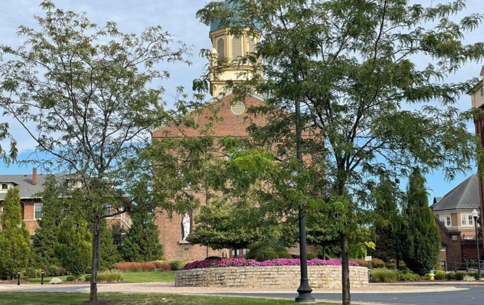 View on Dayton University
