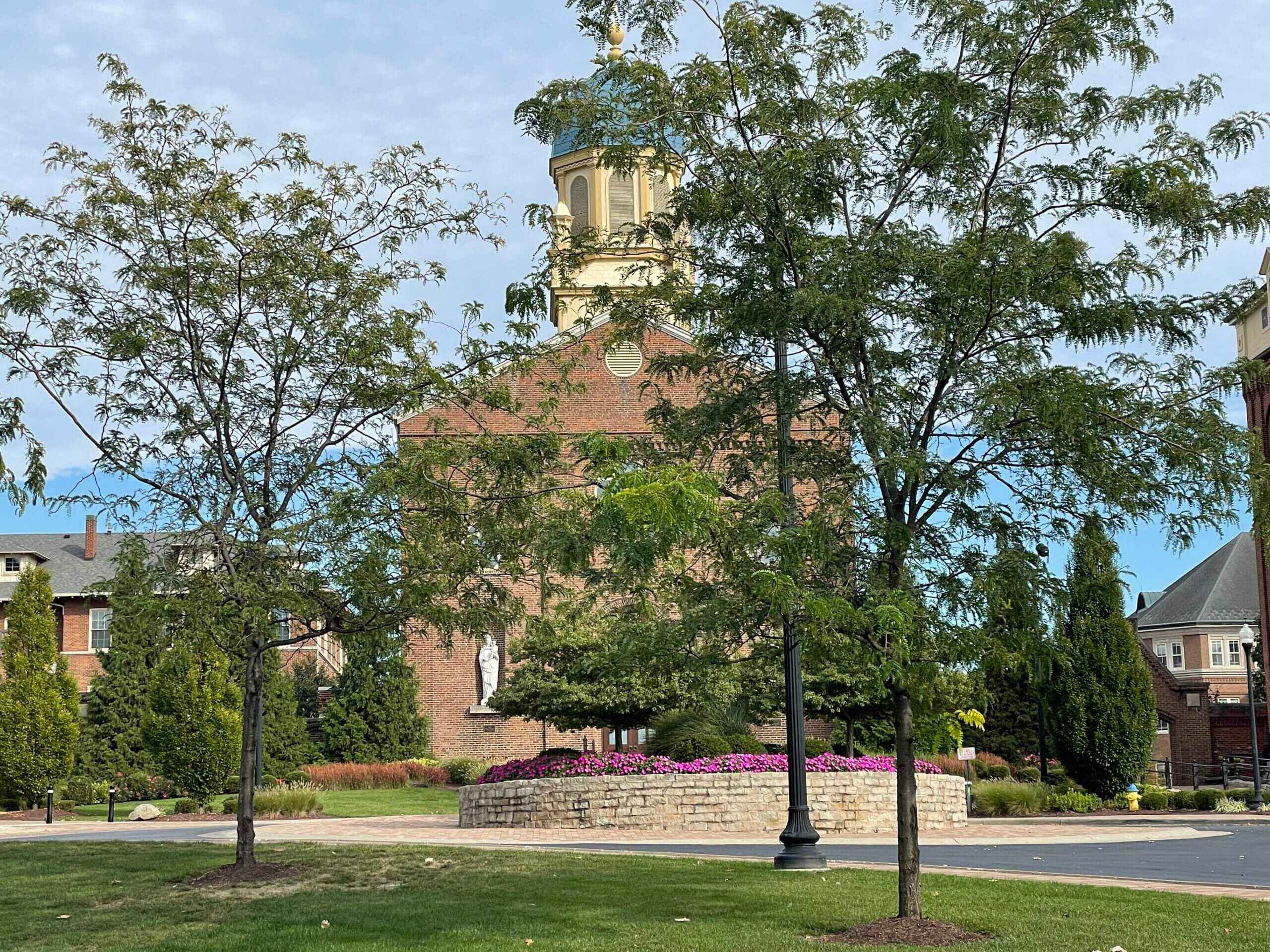 View on Dayton University