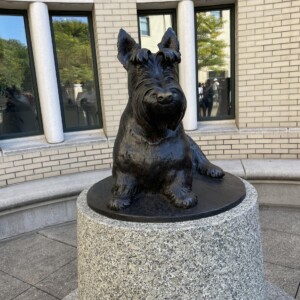 A statue of Scotty, CMU's official mascot.